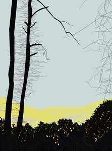 Kardinaal in boom (digitale kunst)