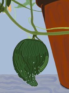 Komkommer in pot, Brooklyn (digitale kunst)