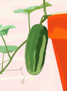 Komkommer in pot, Brooklyn (digitale kunst)