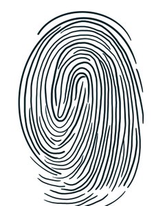 Tekening van een vingerafdruk Brooklyn (digitale kunst) door Evan Sklar