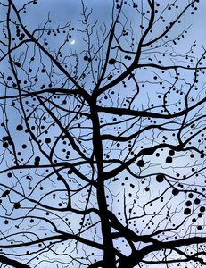 London PlaneTree and Moon, Brooklyn (digitale kunst) door Evan Sklar