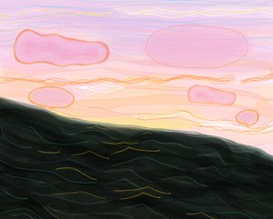 Oceaan bij zonsondergang door Evan Sklar