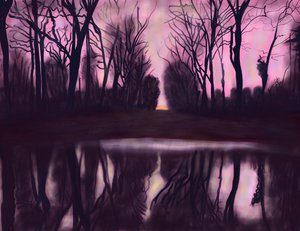 Vijver in park door Evan Sklar