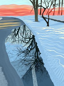 Plas en sneeuw in park, Brooklyn (digitale kunst)