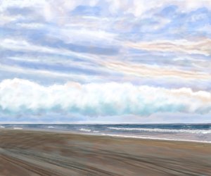 Zwanenstrand
