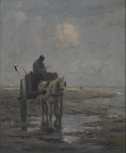 Paard en Kar