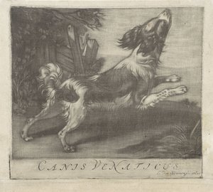 Springende hond door Evert van Sweinen