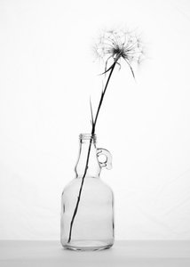  door Eyal Amer