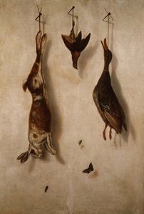 Stilleven van dood wild aan een muur