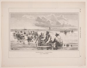 Glibvissers in Limfjorden