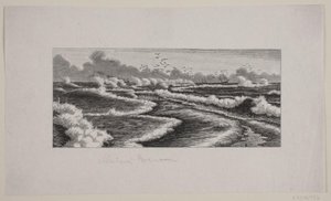 Skagens Gren door F. Hendriksen