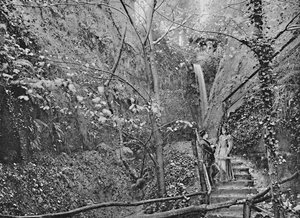 Shanklin Chine, c1896 door F. N. Broderick