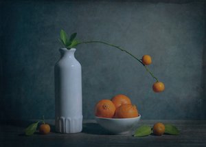 Stilleven met citrusvruchten in een stemmige sfeer