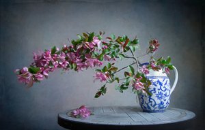  door Fangping Zhou