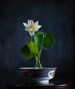  door Fangping Zhou