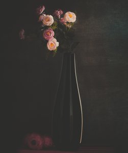  door Farid Kazamil