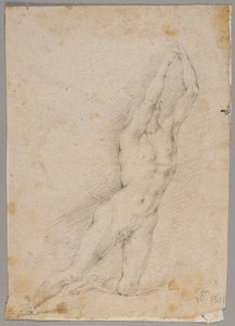 Tekening door Fedele Fischetti
