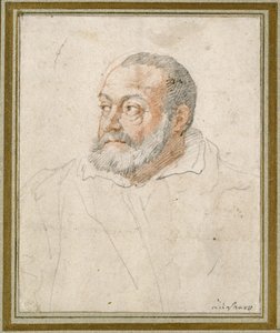 Portret van een man door Federico Zuccaro