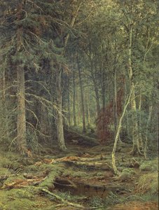 Moeras in het Bos, Herfst, 1872