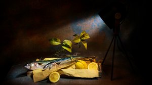 Dramatisch stilleven met makreel door Felice Angelino