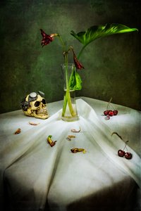 Gothic Skull Vanitas