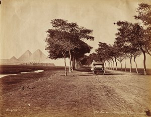 Caire. Allée de Pyramides door Félix Bonfils