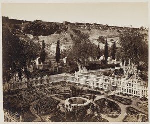 Jardin De Gethseman #303
