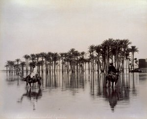 Mannen op kamelen die een door de Nijl overstroomd Egyptisch woestijngebied doorkruisen door Félix Bonfils