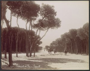  door Félix Bonfils