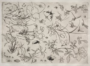 Dinerservies (Rousseau servies): Bloemen en insecten (nr. 15) door Felix Bracquemond
