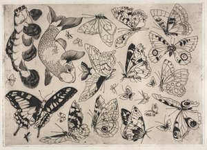 Dinerservies Rousseau servies: Vlinders en Vissen nr. 16, 1866 door Felix Bracquemond