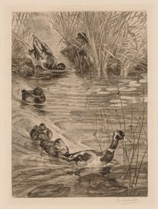 Eenden aan het spelen, ca. 1870