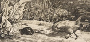 De onbekende, 1862