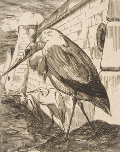 De ooievaars door Felix Bracquemond