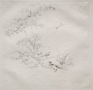 Parijse dienst (Haviland dienst): Mist (nr. 1)