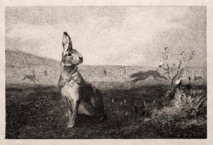 De Haas (naar A. de Balleroy) door Felix Bracquemond