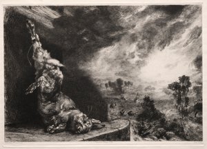 Het grote konijn, 1891, gedrukt 1894 door Felix Bracquemond