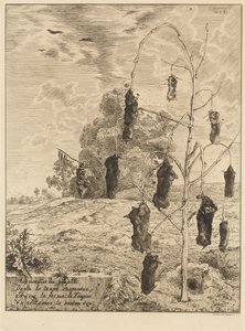 De mollen