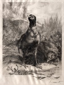 De fazanten, 1899