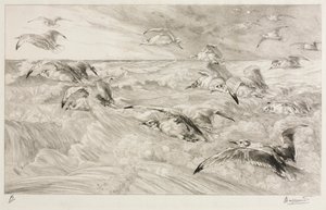 De meeuwen door Felix Bracquemond
