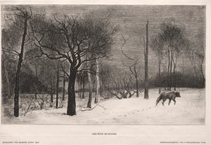 Winter door Felix Bracquemond