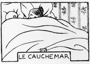 De nachtmerrie