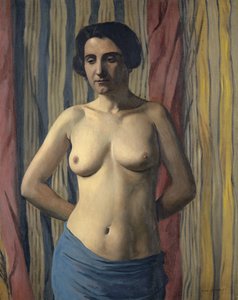 Naakt met Blauwe Sjerp door Felix Edouard Vallotton