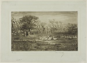 Ganzen door Felix Hilaire Buhot