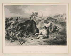 De Jacht op de Buffel door Felix O. C. Darley