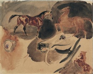 Studie van paarden