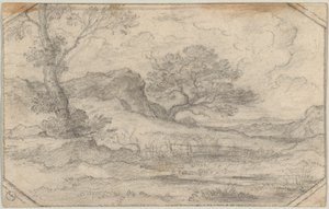 Ideaal landschap met twee bomen en rotsformatie