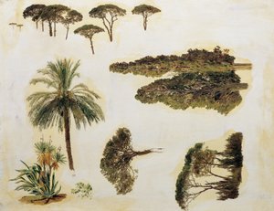 Boomstudies uit Rome door Ferdinand Georg Waldmuller
