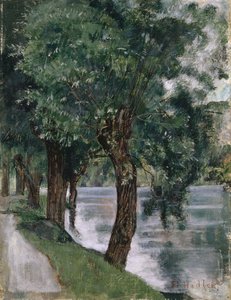Wilgenbomen aan de Rhône, c.1885