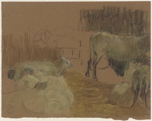 Schapen in een stal